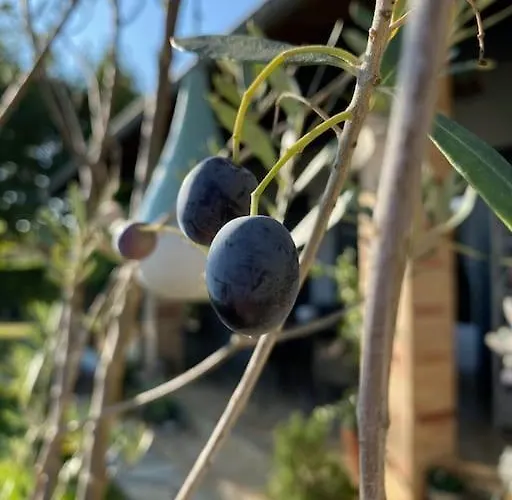 Appartement L'echappee Creative
