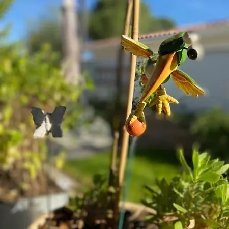 Daire L'echappee Creative