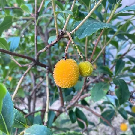 L'echappee Creative Daire