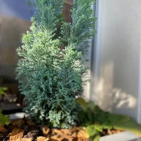 L'echappee Creative Daire Grenade-sur-Garonne