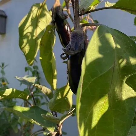 L'echappee Creative * Grenade-sur-Garonne