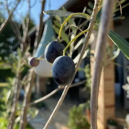 Daire L'echappee Creative