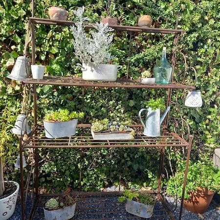 L'echappee Creative *