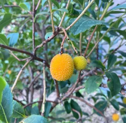 L'echappee Creative Apartament