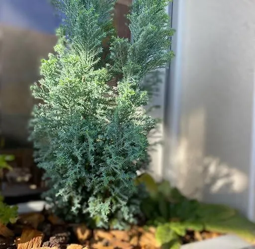 L'echappee Creative Apartament Grenade-sur-Garonne