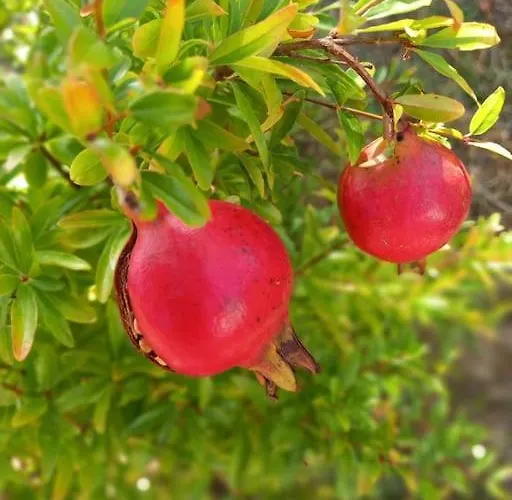 L'echappee Creative Apartament Grenade-sur-Garonne