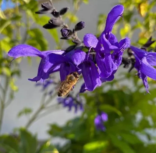 L'echappee Creative Apartament